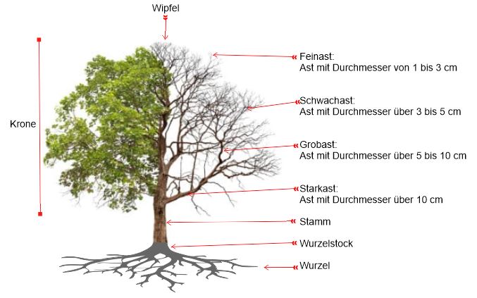 Bild baumteile