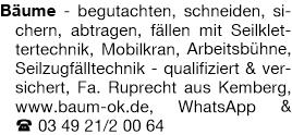 Bäume sturmsicher schneiden Anzeige